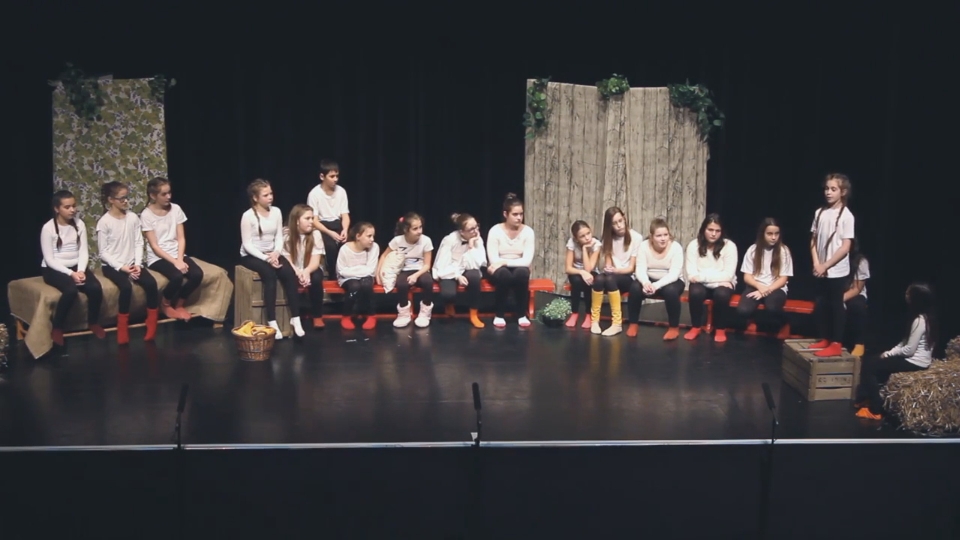 A Lúdas Matyi projekt Bethlenes tanulók előadásában