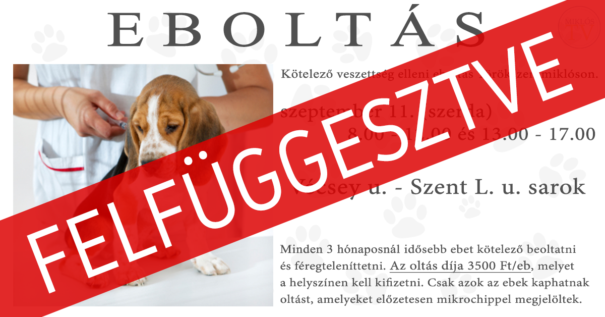 EBOLTÁS 2019 FELFÜGGESZTVE