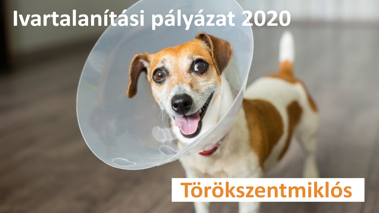 IVARTALANÍTÁSI PÁLYÁZAT TÖRÖKSZENTMIKLÓSON