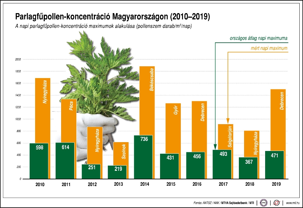 parlagfűgrafika