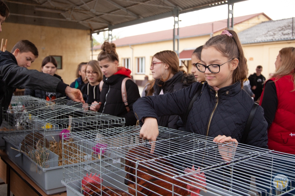 Pályaorientációs napot tartottak a Székácsban